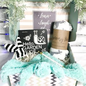 3 Month Baby Gift of Books and Toys