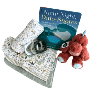 Night Night Dino Baby Gift Basket