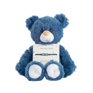 Blue plush teddy bear holding a card that reads 'BIG BROTHER' with a small blue bracelet attached, a gift-style stuffed toy